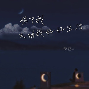 伤了我又劝我好好生活 (伴奏)