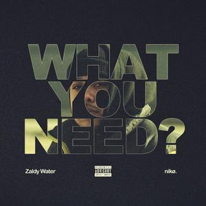 What You Need?