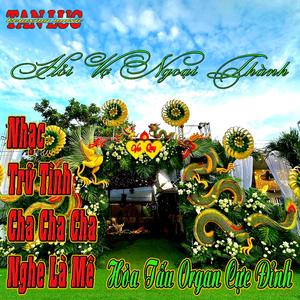 Nhạc Trữ Tình Cha Cha Cha Nghe Là Mê - Hỏi Vợ Ngoại Thành - Hòa Tấu Organ Cực Đỉnh