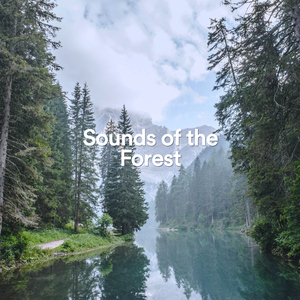 Singing Birds.