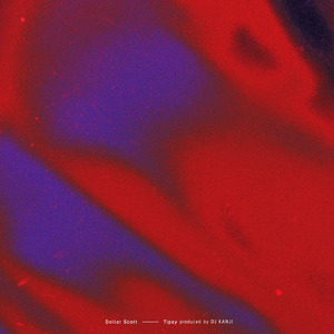 Tipsy (feat. DJ KANJI)