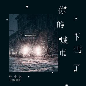 你的城市下雪了 (DJ阿卓版)