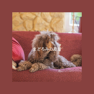 Quartet Jazz Soundtrack for A Peaceful Gaze