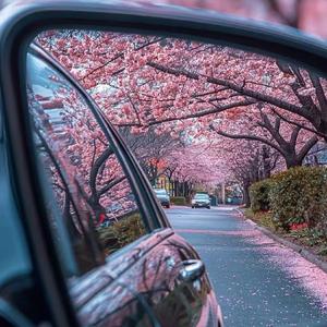 放生  正在进行石女士