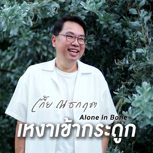 เหงาเข้ากระดูก