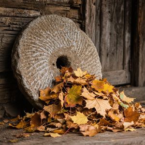 秋叶堆在老磨盘