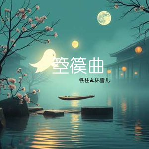 箜篌曲DJ