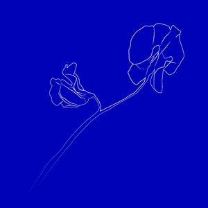 Complet Brouillé (Khidja's Hidden Formula Mix)