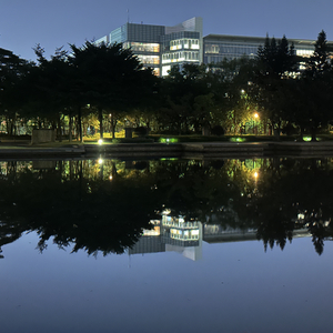 “仲夏黄昏之韵”