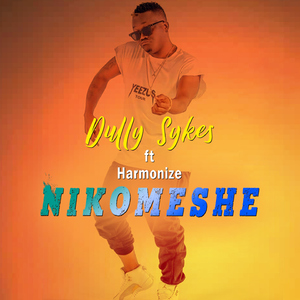 Nikomeshe