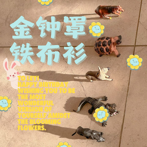 金钟罩铁布衫（翻自：SHE）