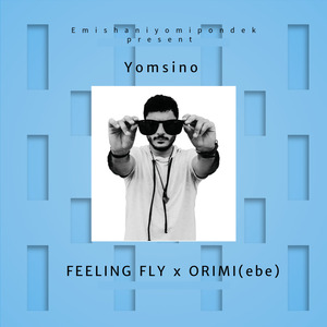 Feeling Fly