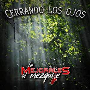 Cerrando los Ojos
