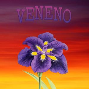 VENENO