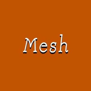 Mesh
