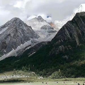 例会告诉-整曲 伴奏