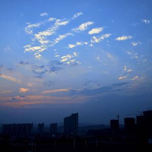 我拿青春爱错人