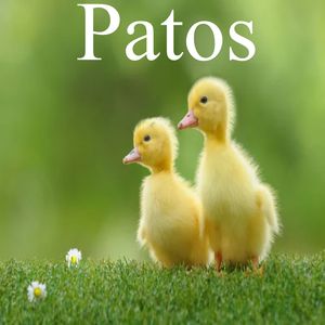 Patos