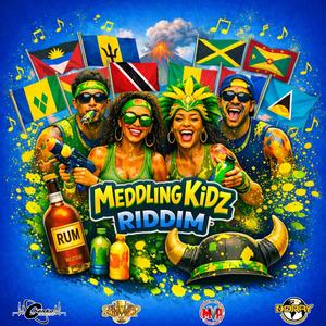 Officer (Meddling Kidz Riddim) (feat. Flanka)