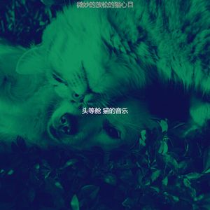 安静的可爱的猫声音