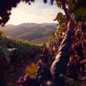 Borban az igazság...