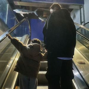 爱你像是一阵风