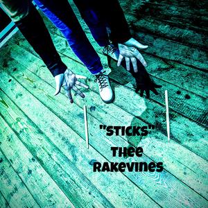 Sticks