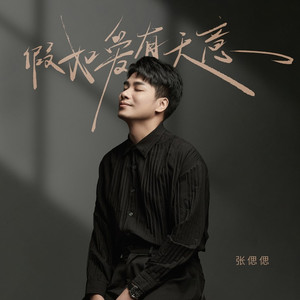 假如爱有天意 (伴奏)