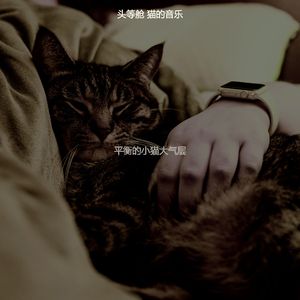 有趣小猫情怀