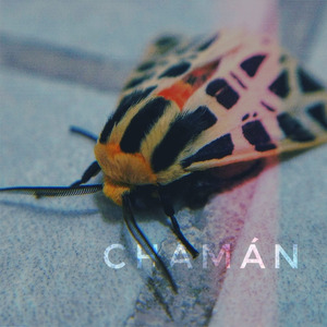 CHAMÁN