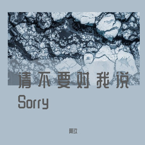 请不要对我说Sorry
