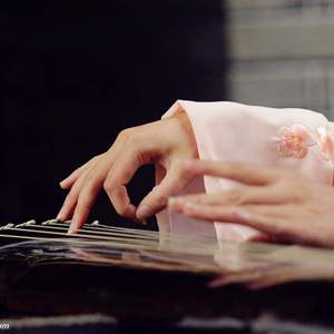 穿越时空的思念（琵琶×古琴）