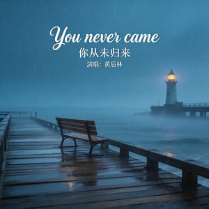 《你从未归来》（英文：You Never Came）