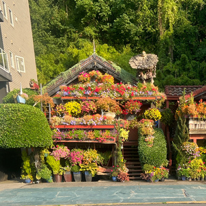 Half Moon, Full Dave