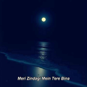 Meri Zindagi Mein Tere Bina