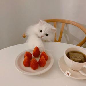 Swagger (抖音女版)（翻自 画风风）