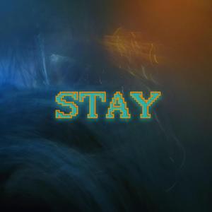 The Kid LAROI-STAY（小黑多久睡醒 remix）