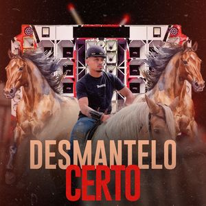 Desmantelo Certo