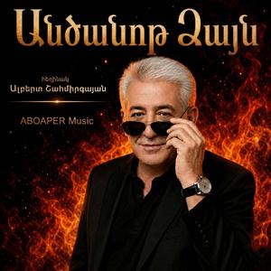 Անծանոթ Ձայն