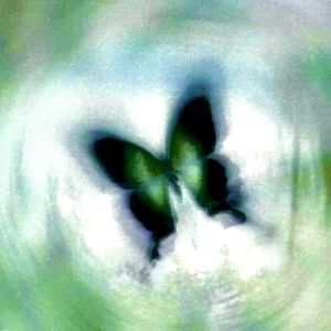 又回忆上了哥（pord by MORROW）