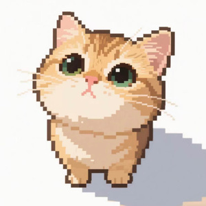 EDM × 网感 Type Beat "喵喵"