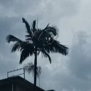 F L Y prod.by jestion