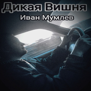 Дикая вишня