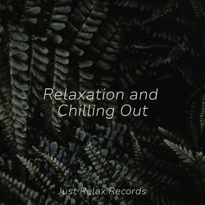 Silent Trails Through Fog