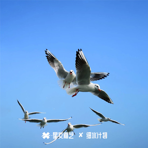 克服自己的弱点