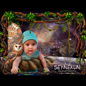 Seynekun