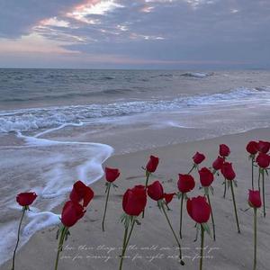 那时正好（女生版）