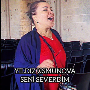 Seni Severdim (Tiktok)