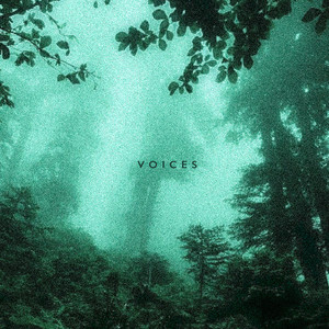 VOICES