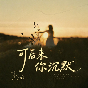 可后来 你沉默（最新版）